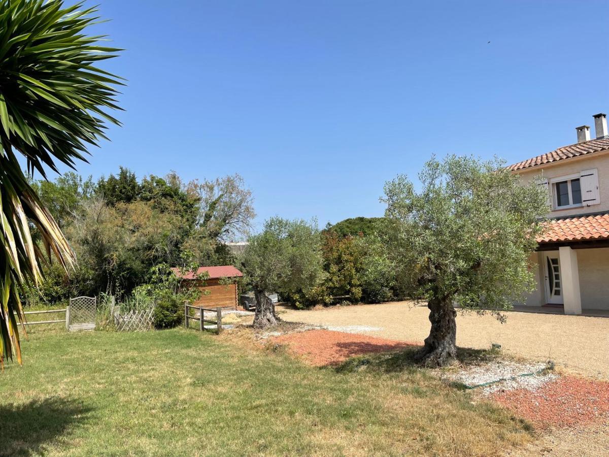 Studio 40M2 Avec Terrasse Le Mas De Lauriane Saintes-Maries-de-la-Mer Exterior foto