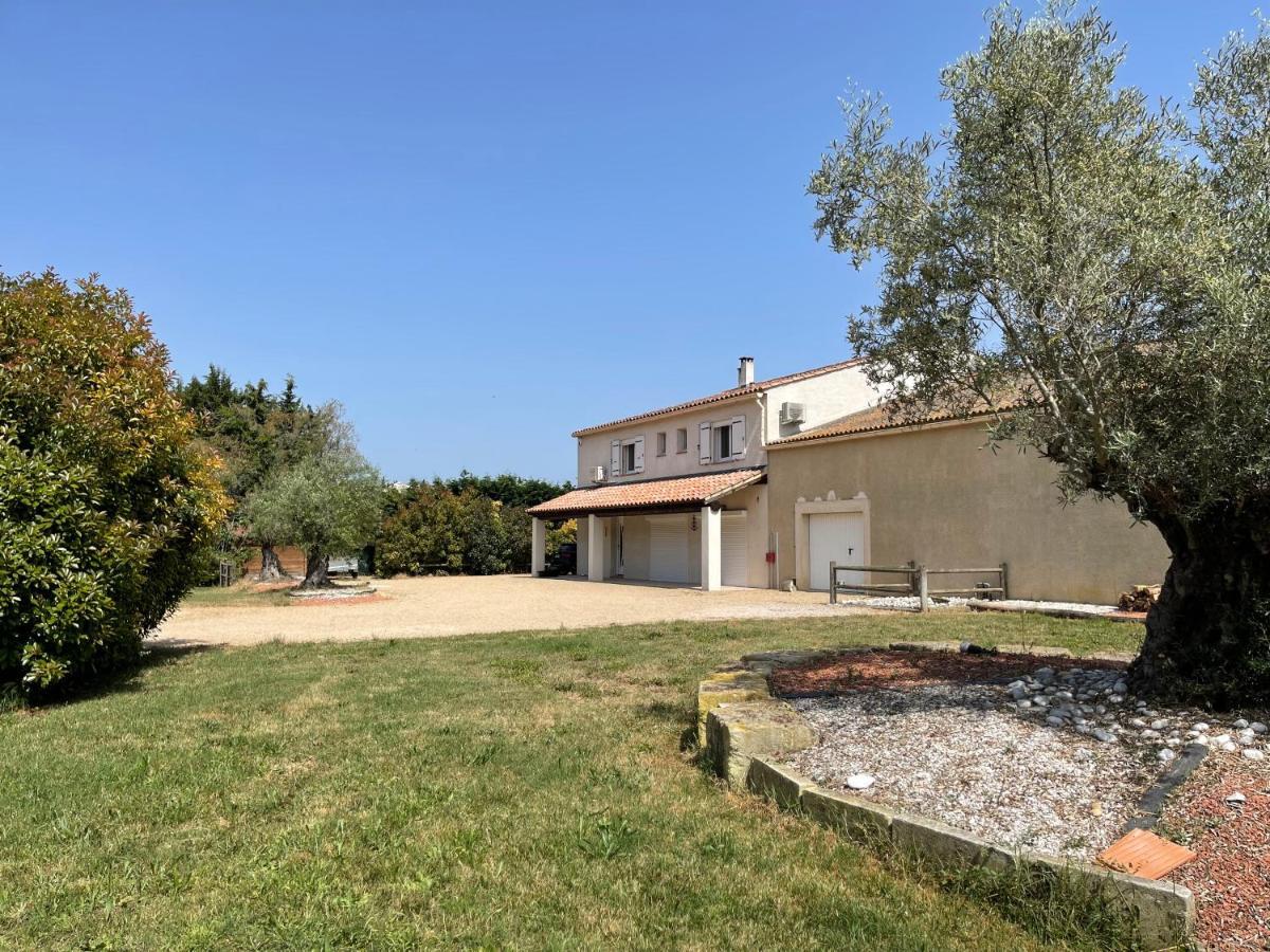 Studio 40M2 Avec Terrasse Le Mas De Lauriane Saintes-Maries-de-la-Mer Exterior foto